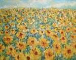 Pole slunečnic / Field of Sunflowers